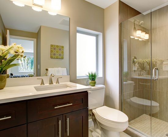 Commercial Descalers Bathroom Pipe Cleaner Eco Safeway